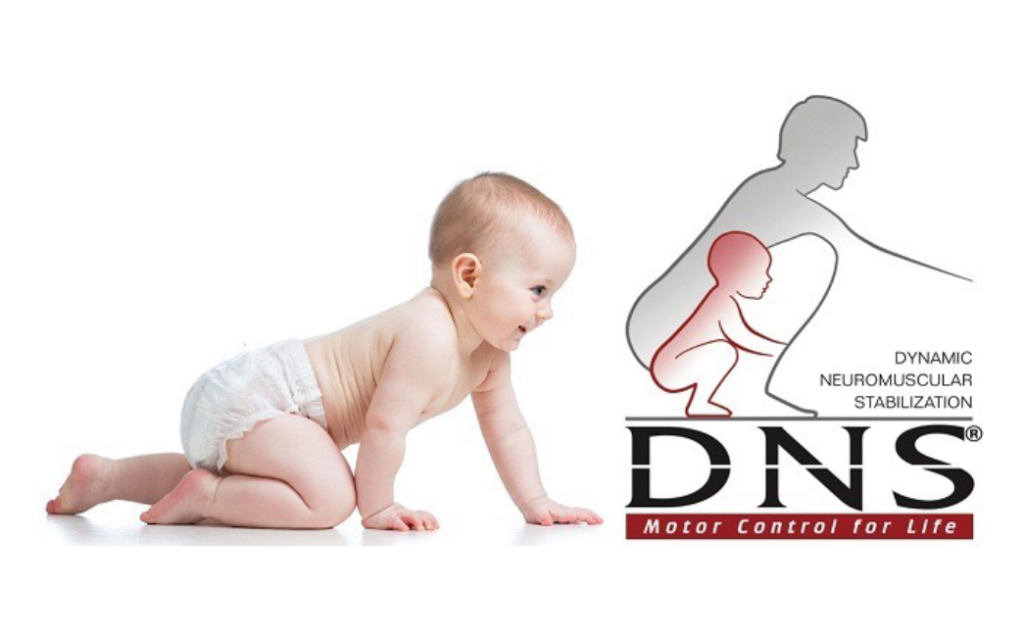 Dynamic Neuromuscular Stabilization Korehab Blog